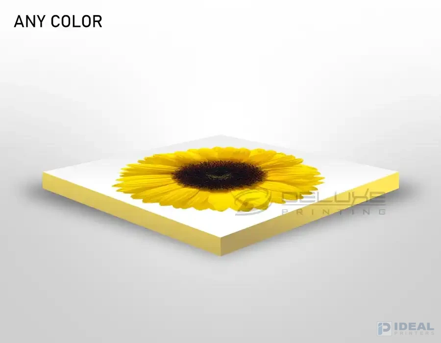 Canvas Frame Edge